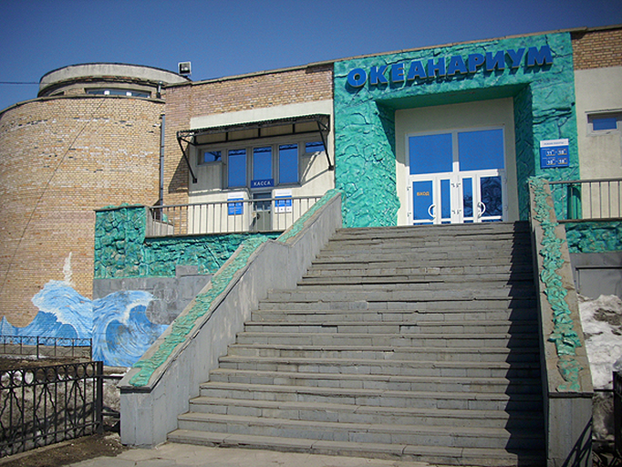 Владивостокский океанариум. Музей ТИНРО)